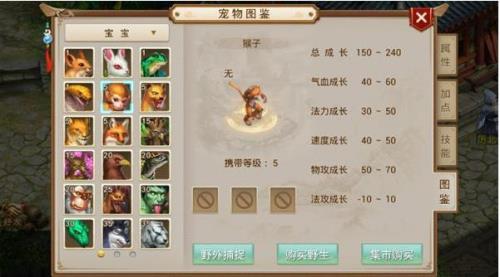 问道手游怎么自动捕捉宝宝