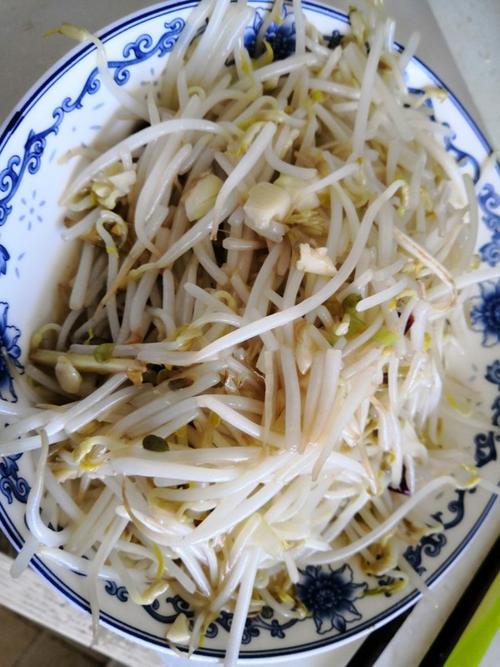 清炒豆芽的做法王刚