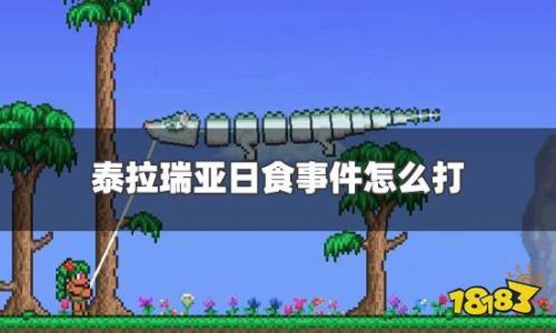 泰拉瑞亚飞龙什么时候出来