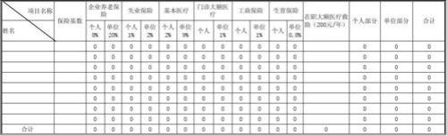 农村社保缴费明细表