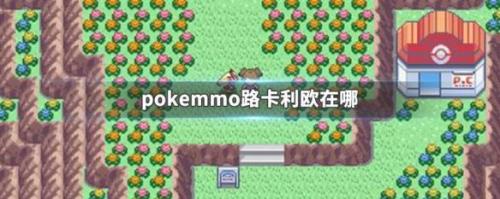 pokemmo怎么交换进化