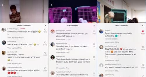 tiktok为什么显示没网