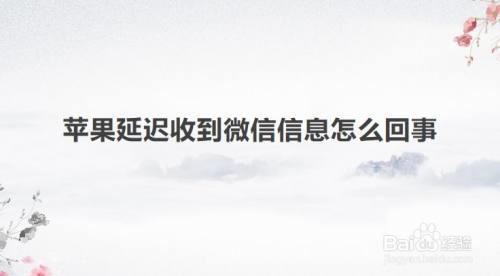 苹果消息延迟太严重了