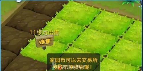 家园模式家园币怎么获得