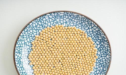 豆子煮多久能熟