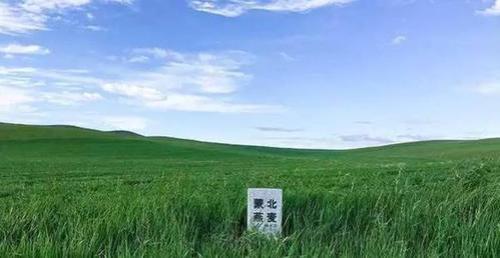 内蒙古包地500亩国家一年补贴多少