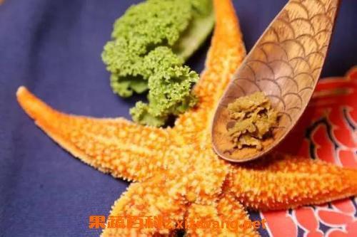 干海星怎么清洗