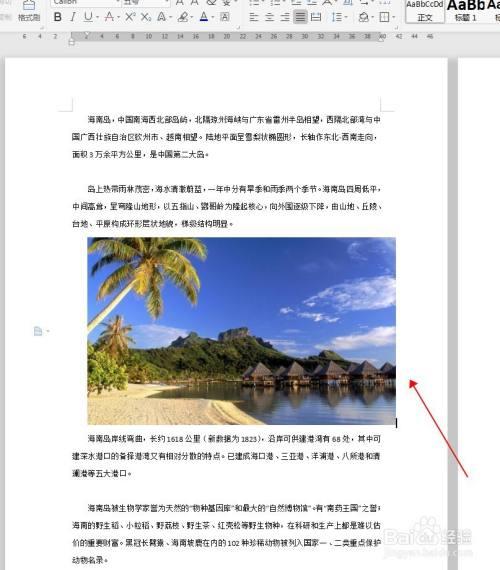 怎样把图片文字转成电子文档