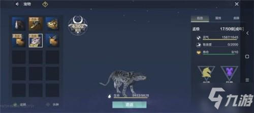 妄想山海千年嚣熊值得培养么
