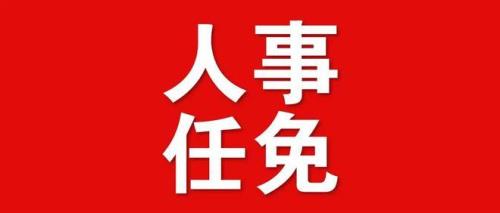 人事任免公示后多长时间上任