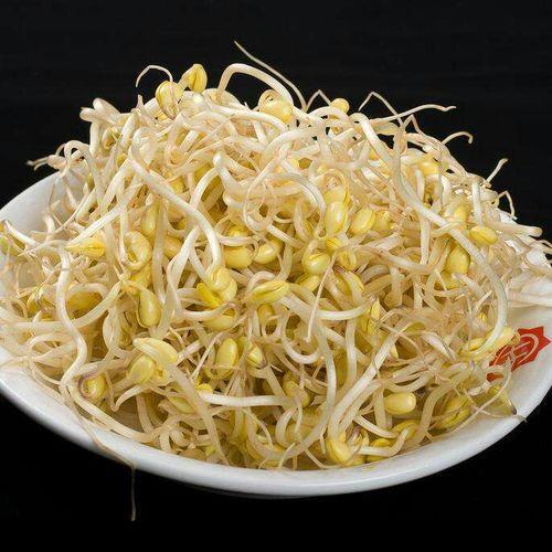 长长的跟黄豆芽似的是什么菜