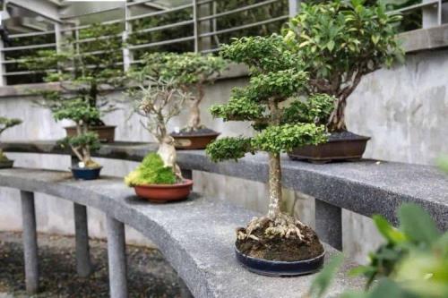 西宁盆景园几点下班