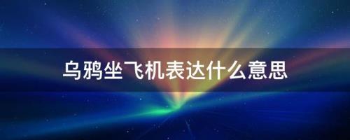 搭飞机是什么意思啊