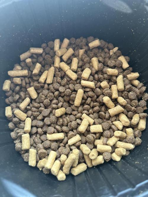 猫粮用水泡了上面有油正常吗