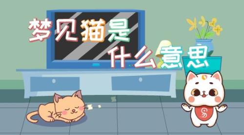 oo是啥意思
