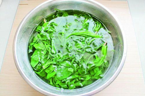 菠菜最长泡多久