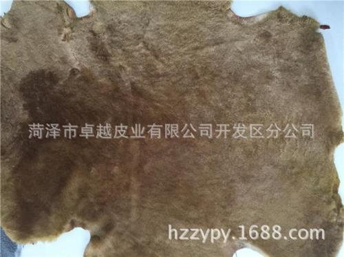 羊皮上的毛怎么去掉