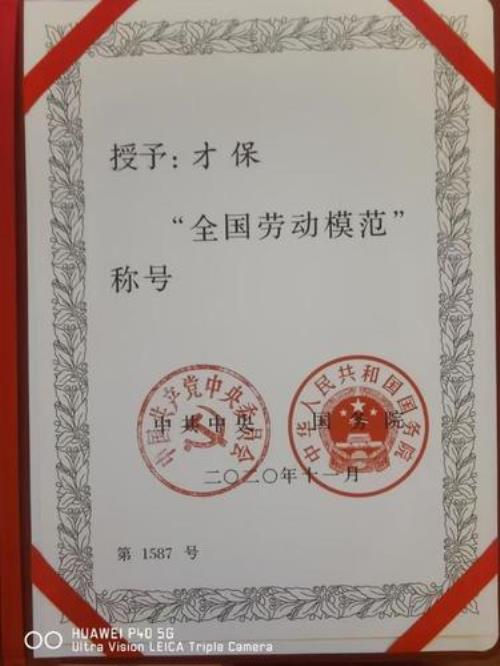 全国绿化劳动模范奖金多少