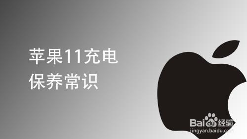 苹果11充满电能用几小时