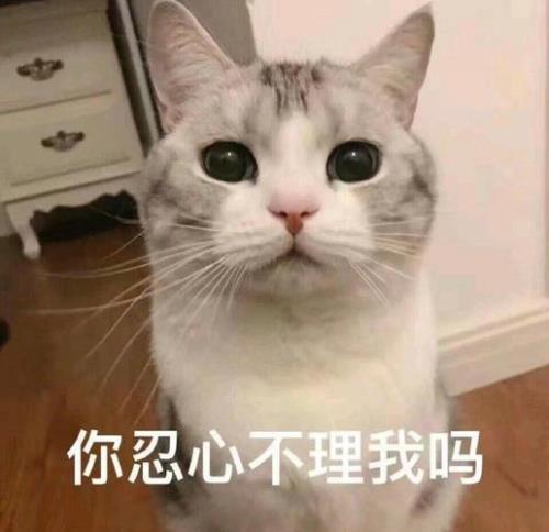 互相不理一段关系就结束了吗
