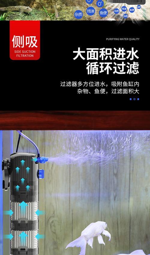 用增氧泵鱼可以活多久