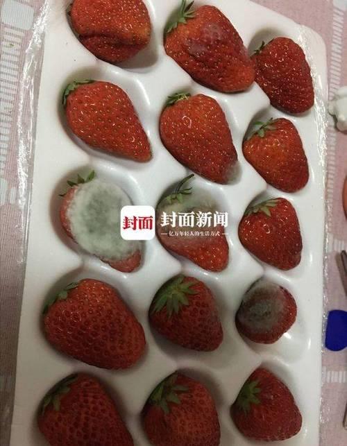 易腐烂变质的食品应该怎样处理