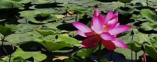 阳历6月份是什么季节