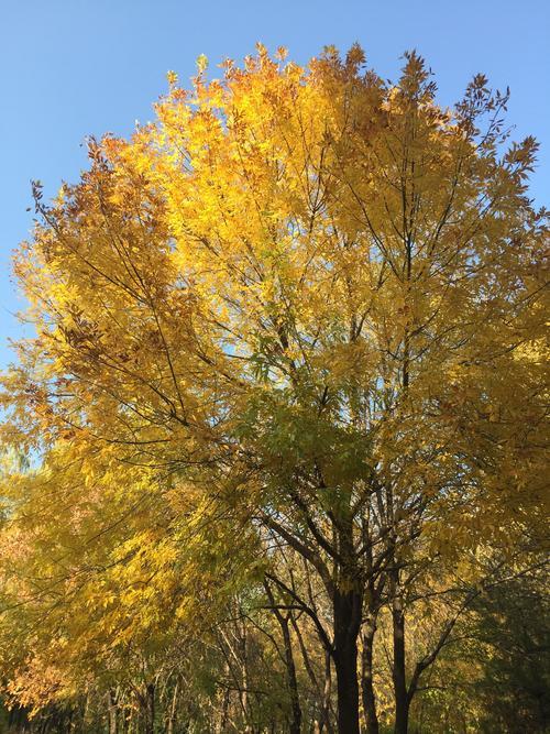 11月17日是什么季节