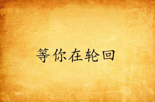等下一个轮回女声完整版原唱