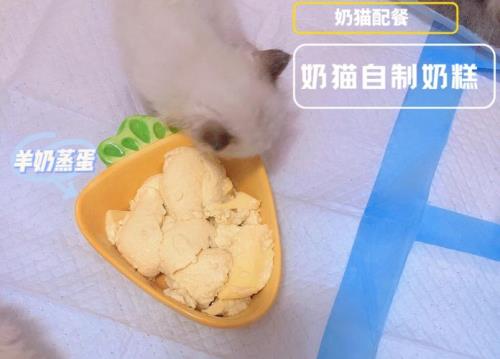 猫咪辅食天天要吃吗