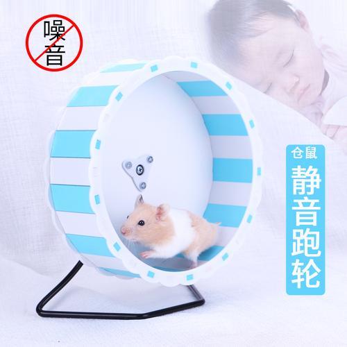 仓鼠能不用跑轮用其他运动的吗