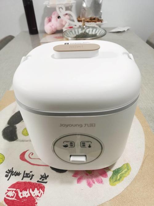 九阳电饭煲摔地上了还能用吗