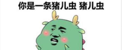 条儿是什么意思