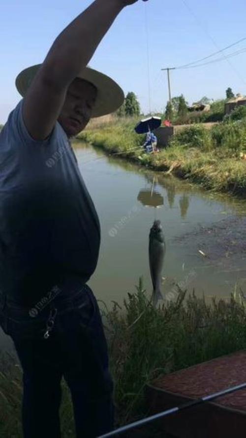 封塘两个月好钓吗