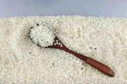 吃生米的人是什么意思