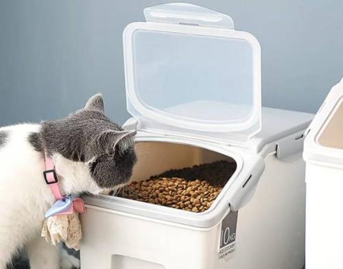 猫粮一般什么时候放