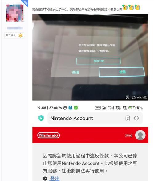 switch被ban机子是什么样的