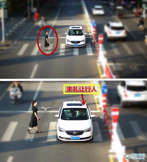 礼让行人抓拍几率大吗
