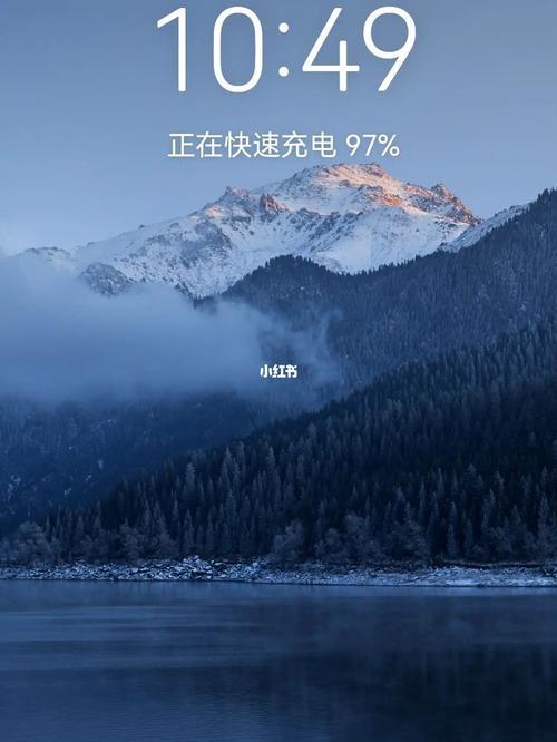 mate40充不进电