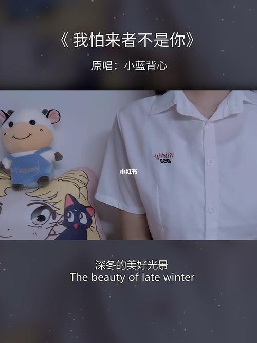 来者是我歌曲意思
