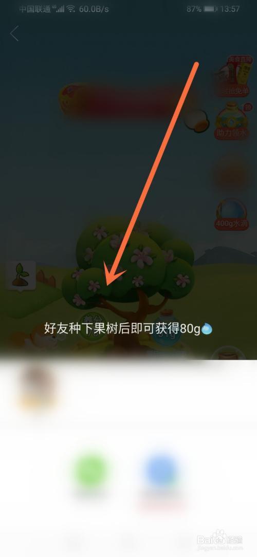 拼多多果园护园犬怎么没了