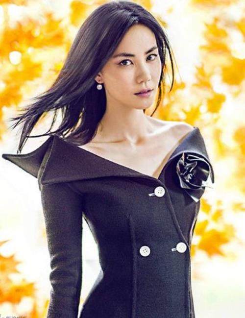 王菲属相是什么