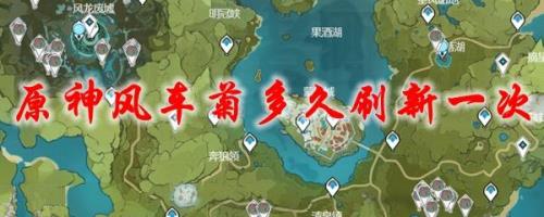 风格花净化以后多久刷新