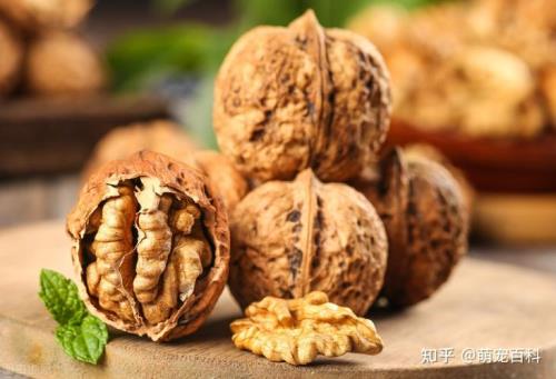 核桃能喂牛吗