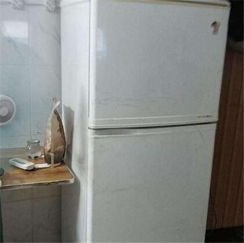 冰箱洗完多久插电
