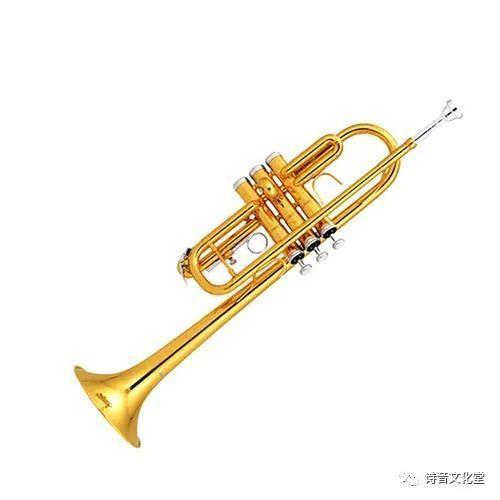 长号和圆号的区别