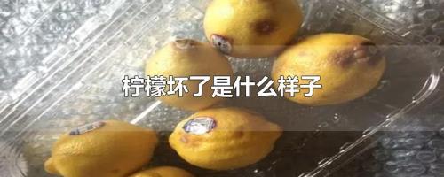 柠檬保存多久不坏