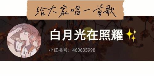 没有白月光是什么歌