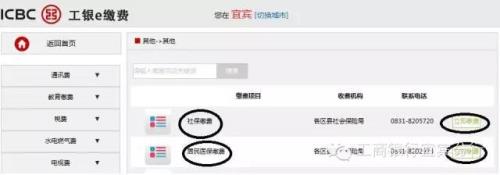 社保交了怎么没有电子回单