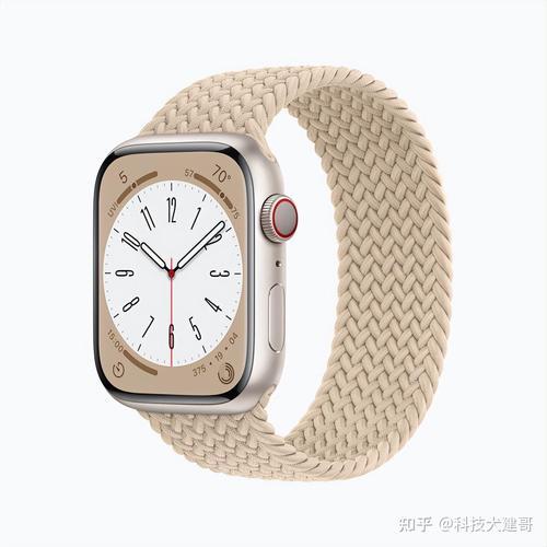 applewatchultra有没有支付功能